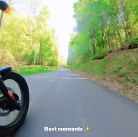 Motorcycle riding through tree-lined road