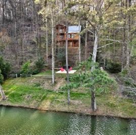Treehouse cabin beside a pond surrounded by forest