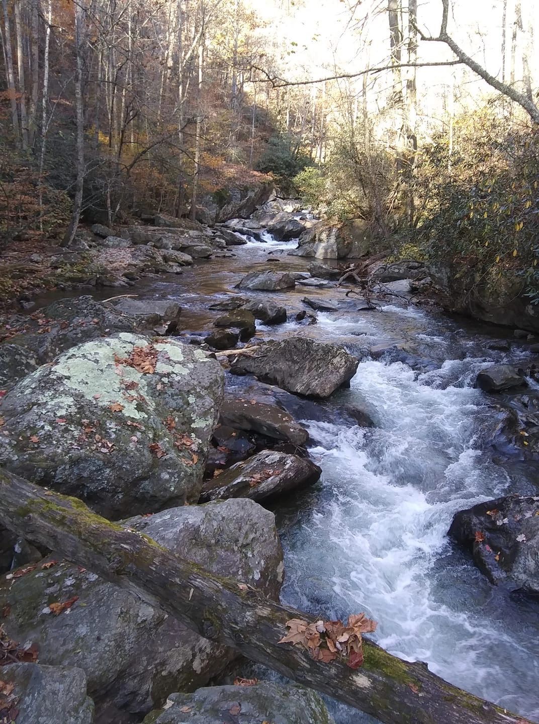 Peaceful creek below the retreat