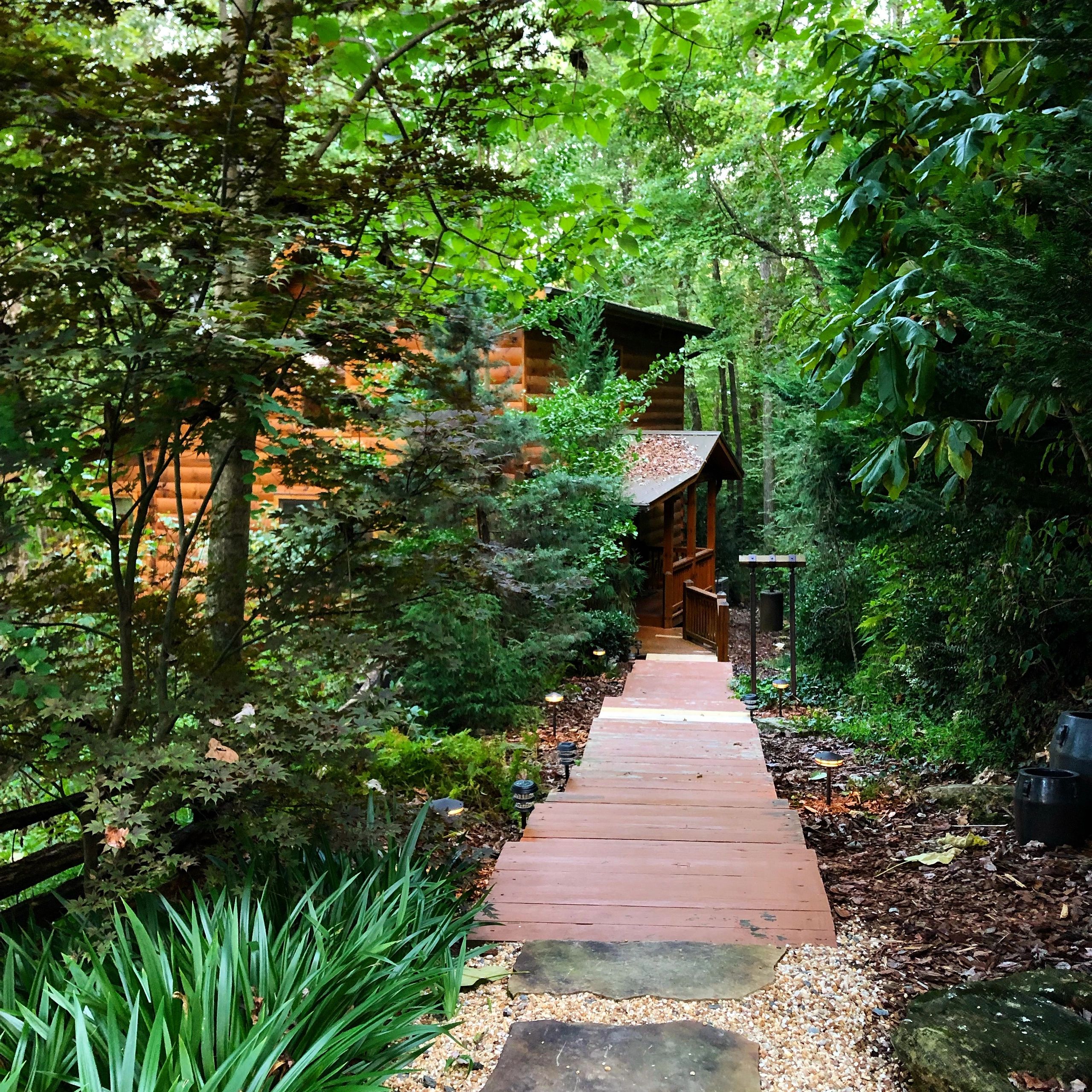 Landscaped pathway leading to the custom log cabin